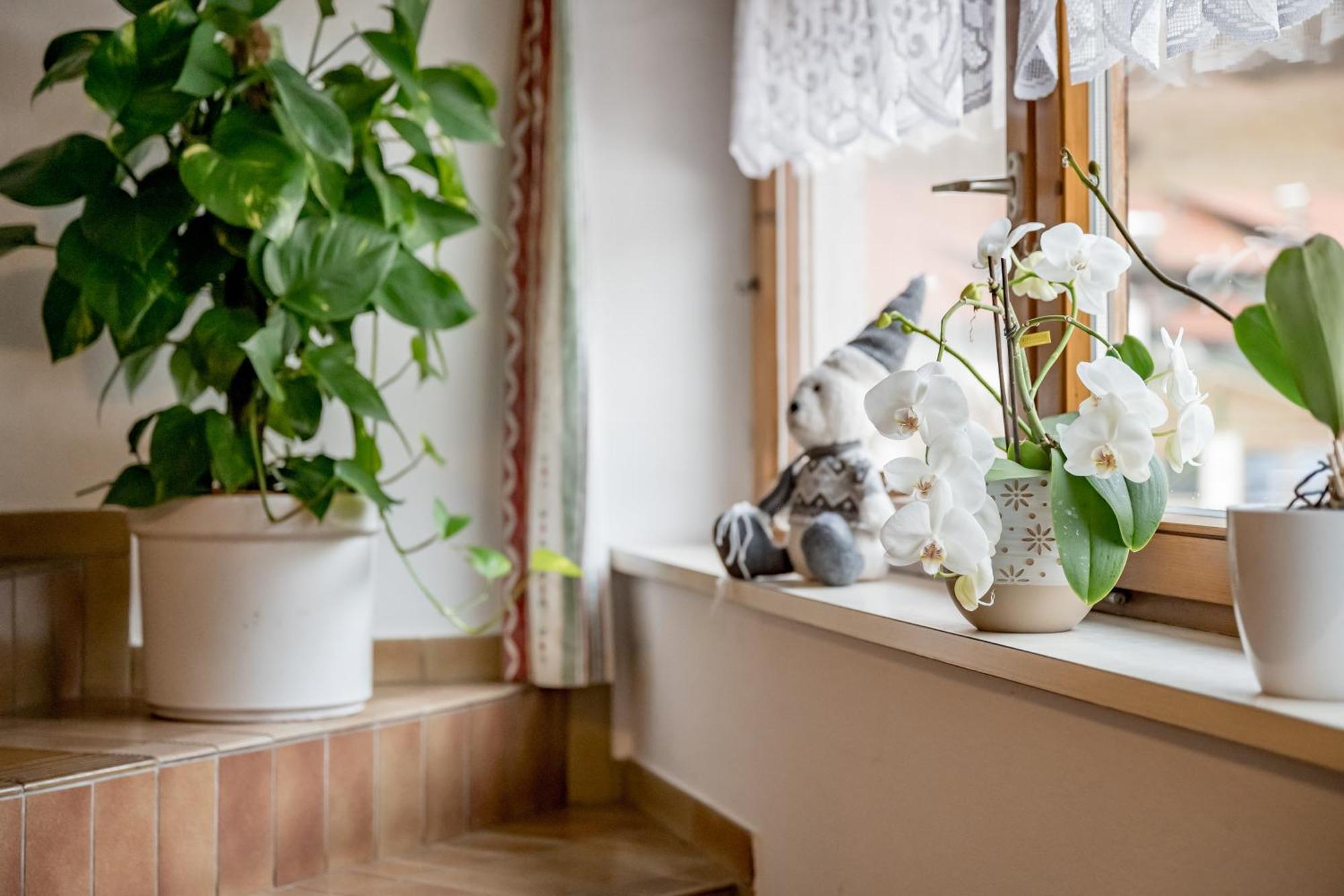 Acherkogelblick Oetz Ngoại thất bức ảnh