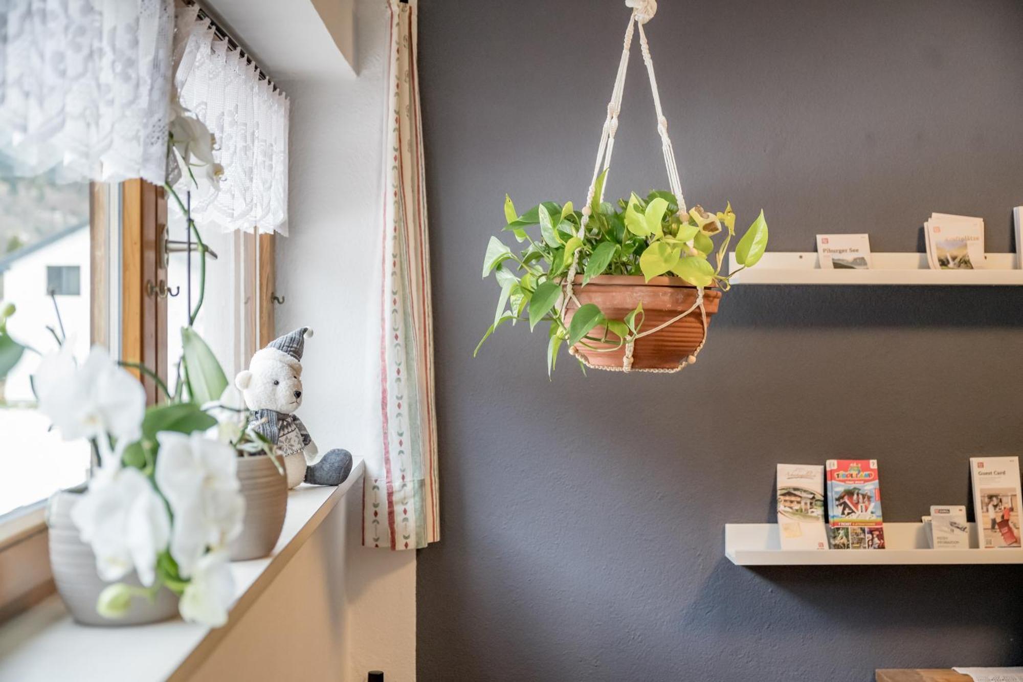 Acherkogelblick Oetz Ngoại thất bức ảnh